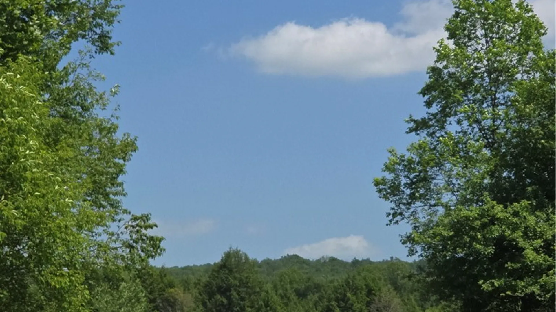 Property at 972 State Highway 23, Pitcher, NY 13801 7