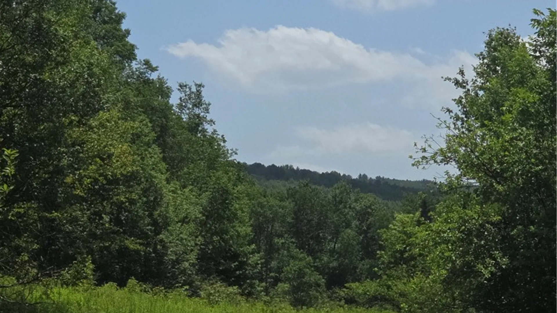 Property at 972 State Highway 23, Pitcher, NY 13801 8