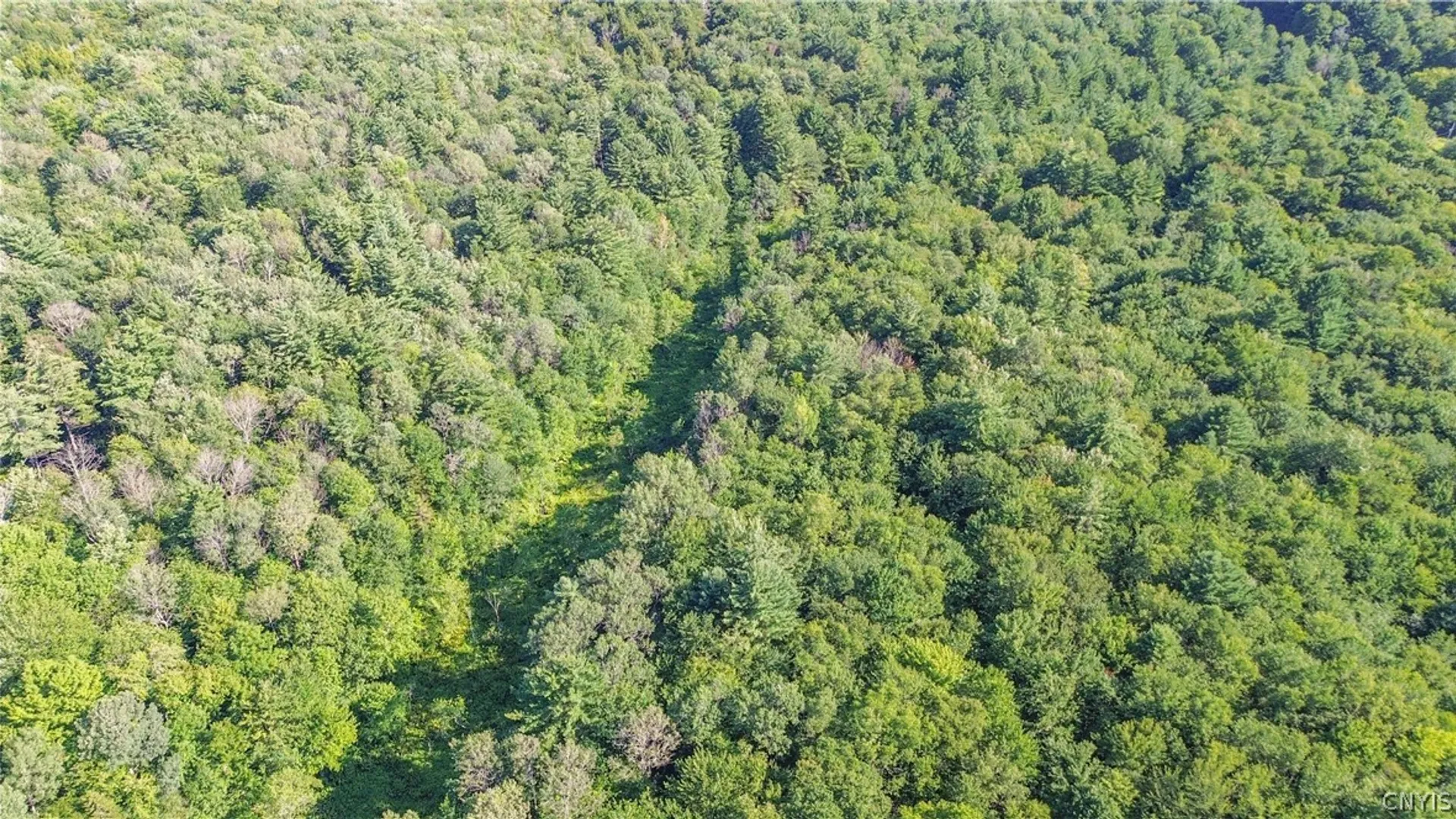 Property at Hayloft Trl, Redfield, NY 13493 5