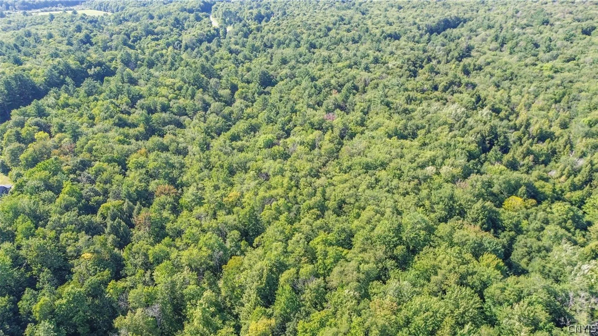 Property at Hayloft Trl, Redfield, NY 13493 7