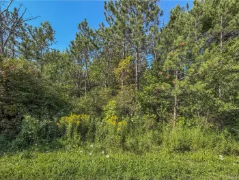 Property at Hayloft Trl, Redfield, NY 13493