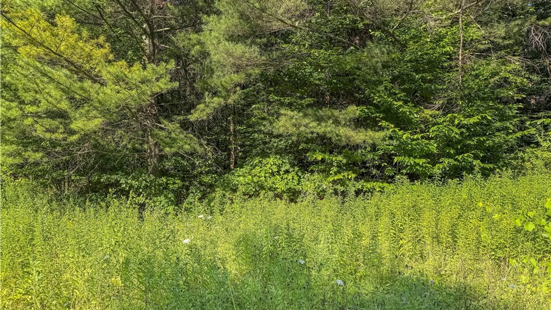 Property at Cr-27, Redfield, NY 13493 27