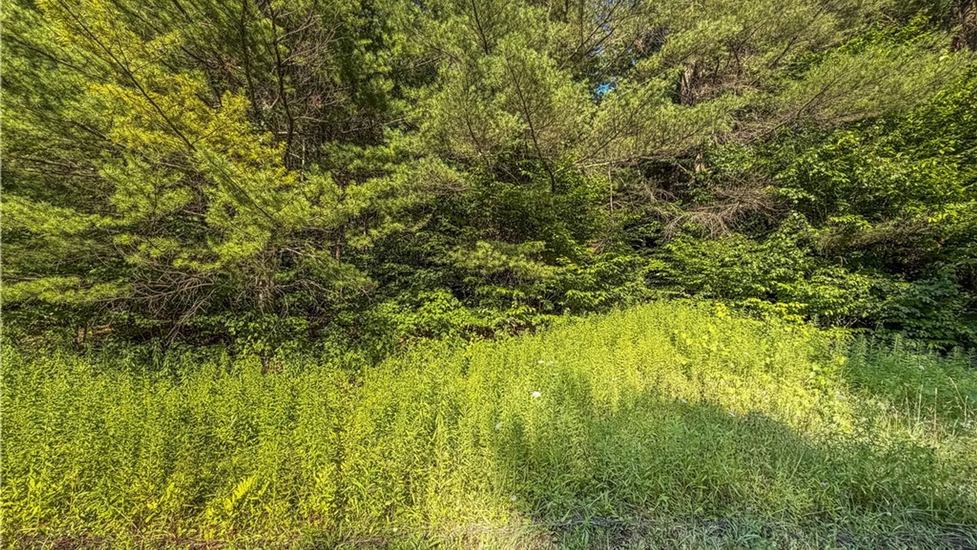 Property at Cr-27, Redfield, NY 13493 28