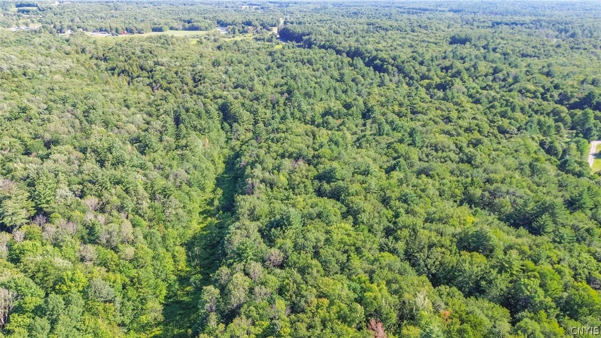 Property at Cr-27, Redfield, NY 13493 12
