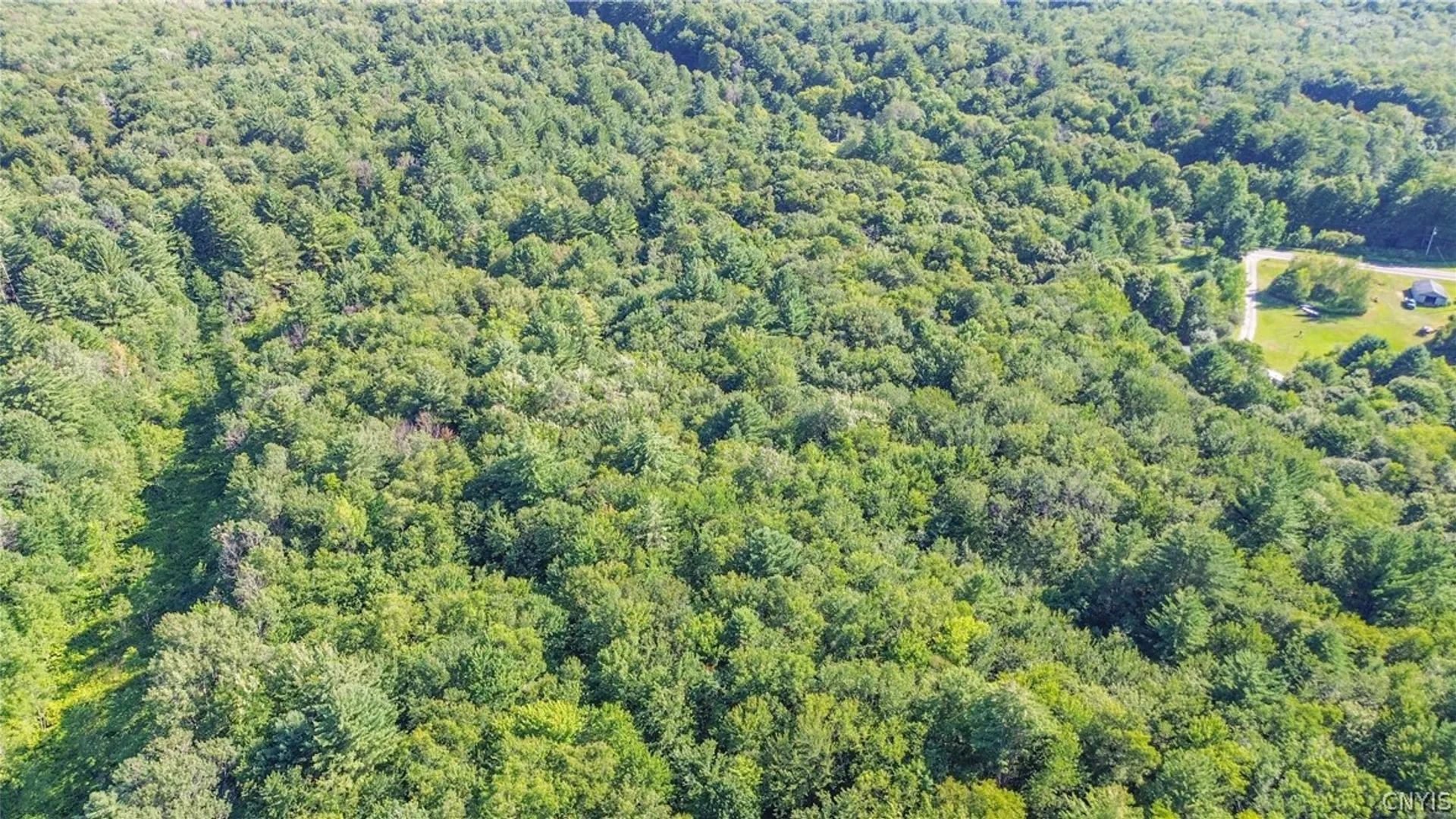Property at Cr-27, Redfield, NY 13493 13