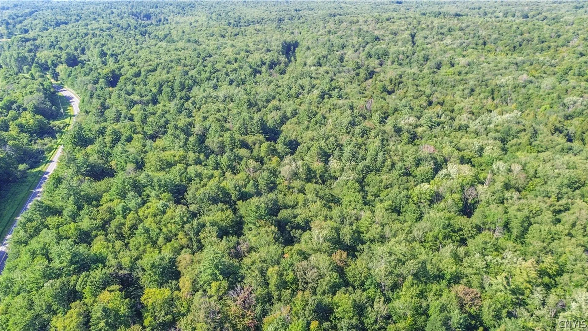 Property at Cr-27, Redfield, NY 13493 18