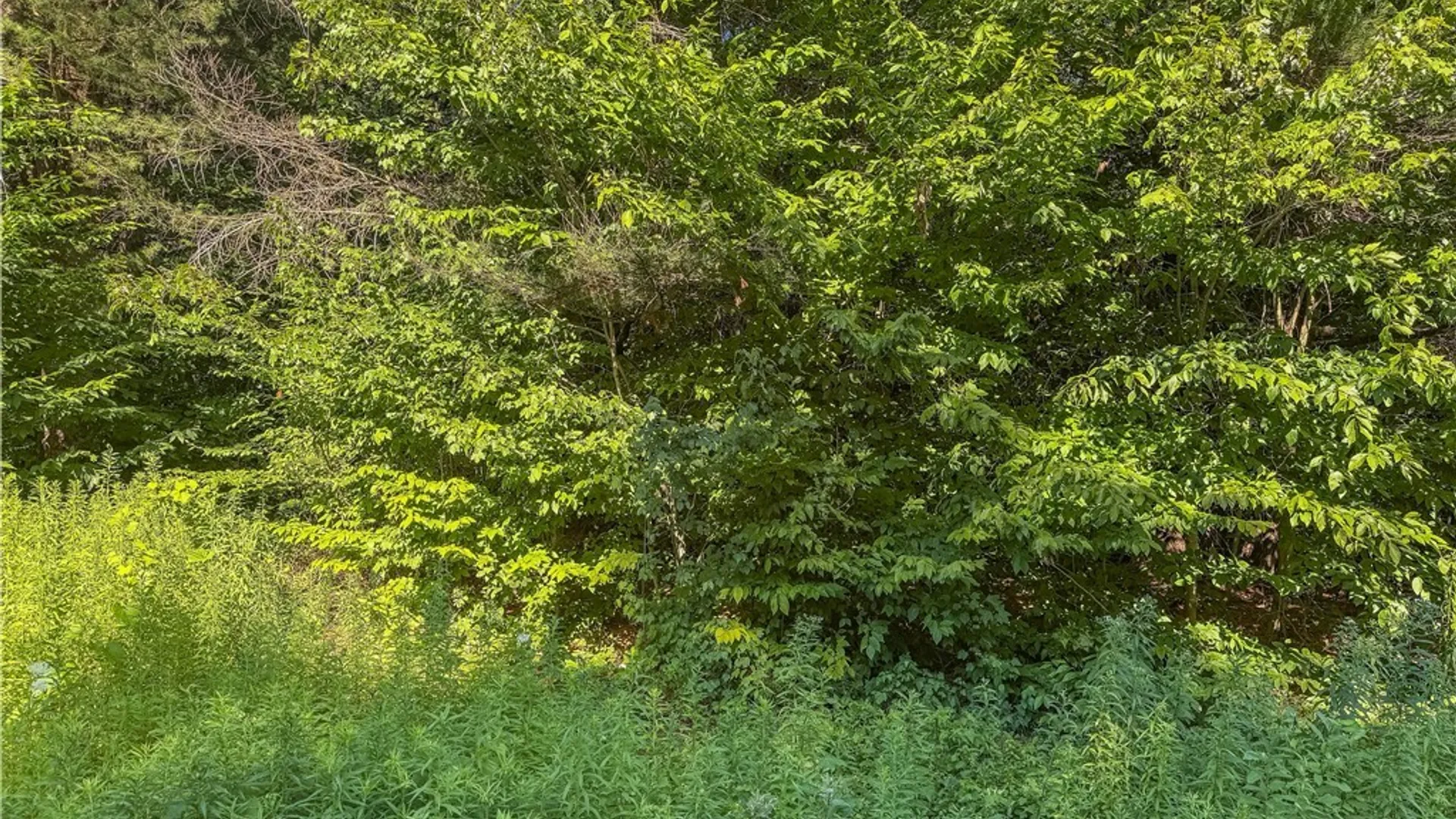 Property at Cr-27, Redfield, NY 13493 22