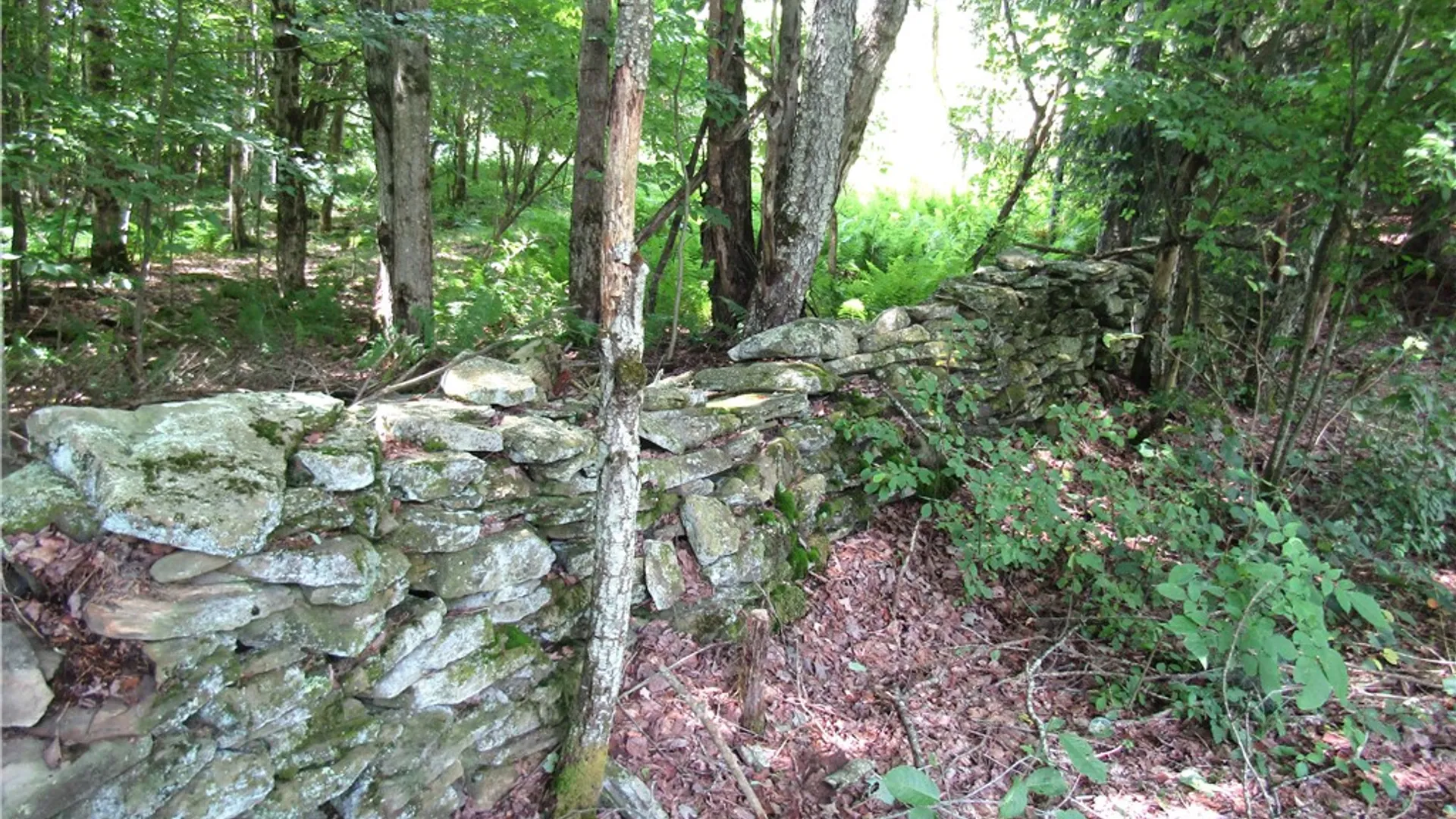 Property at 817 Munn Road, Hamden, NY 13856 48