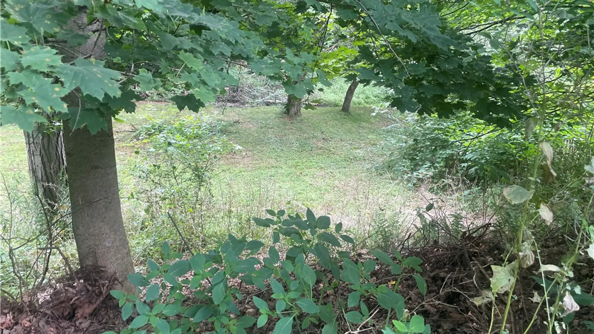Property at 15 Edgewood Drive, Sidney, NY 13838 20
