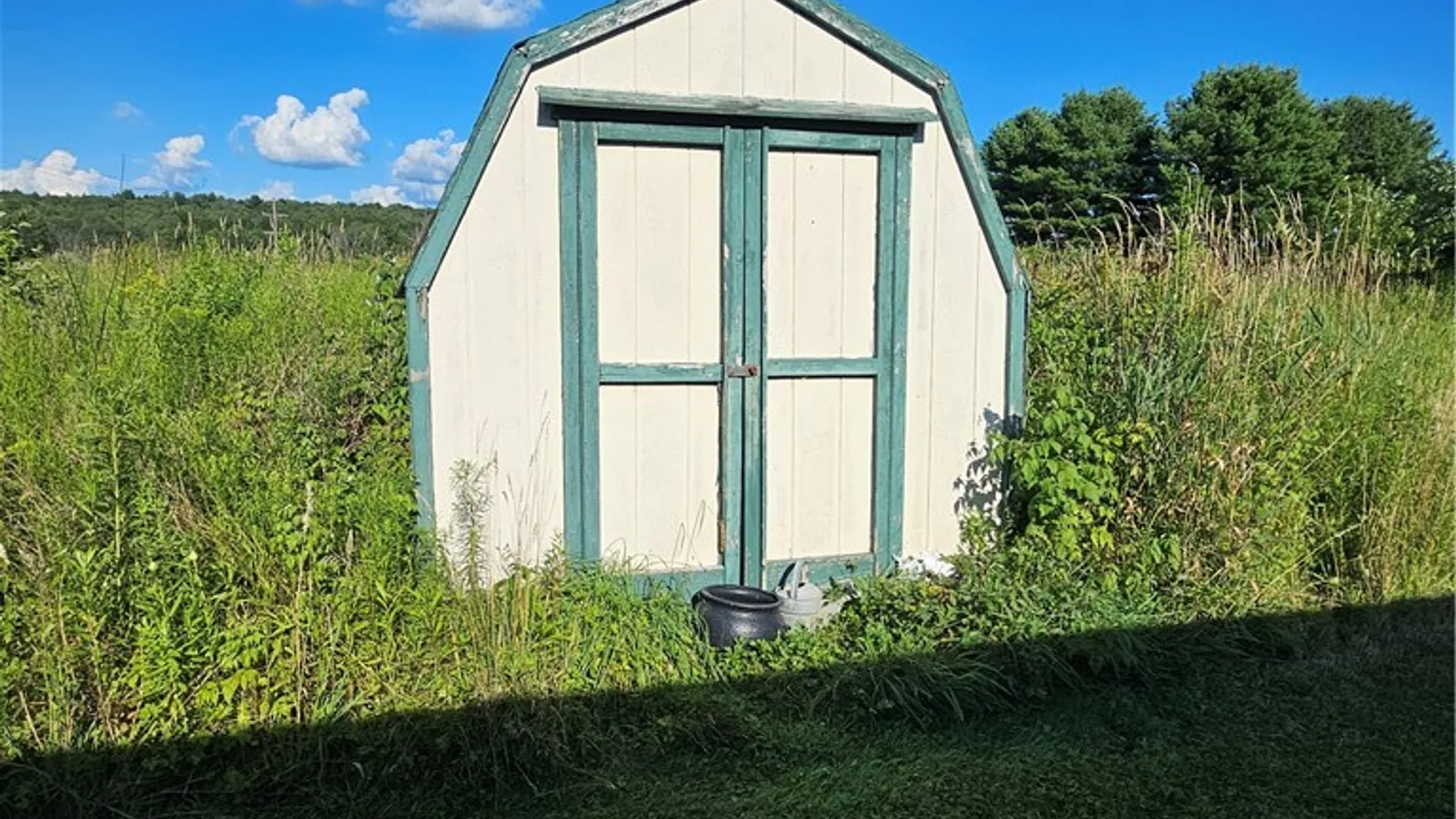 Property at 866 State Route 41, Willet, NY 13863 24