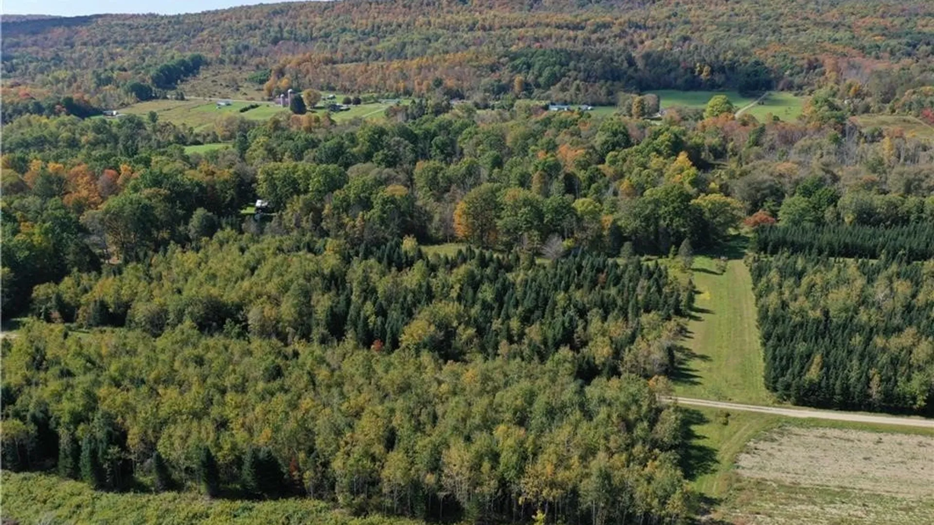 Property at 0 Bumpy Bridge Road, Wheeler, NY 14873 5