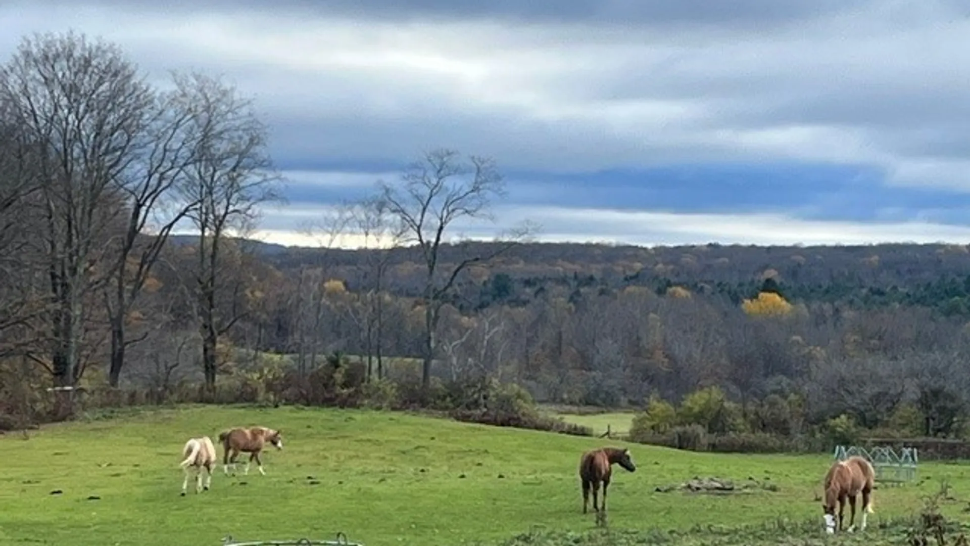 Property at 173 Lidell Road, Mc Donough, NY 13801 40