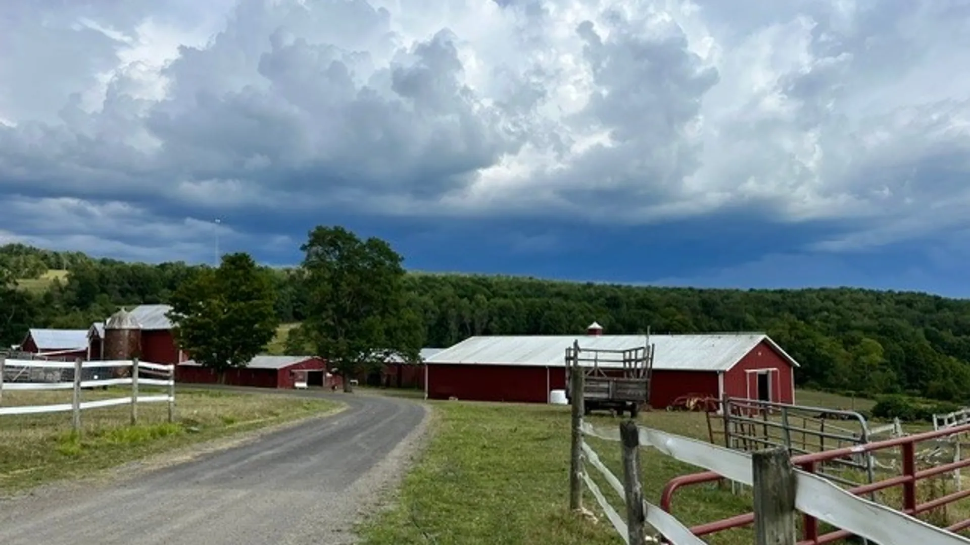Property at 173 Lidell Road, Mc Donough, NY 13801 18