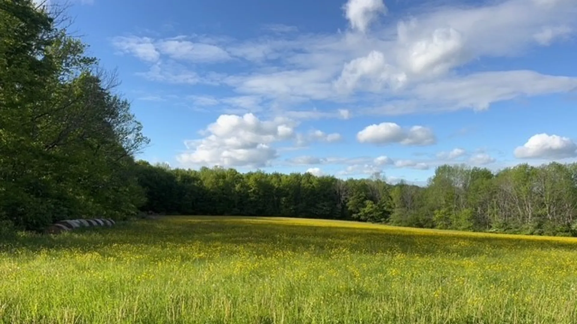 Property at 173 Lidell Road, Mc Donough, NY 13801 27