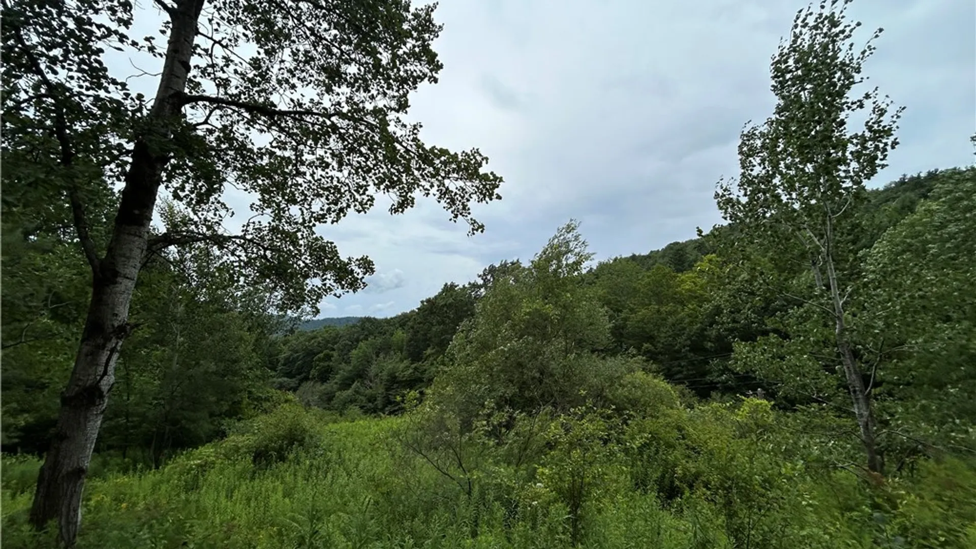 Property at Lot 13 Grange Hall Road, Franklin, NY 13820 8