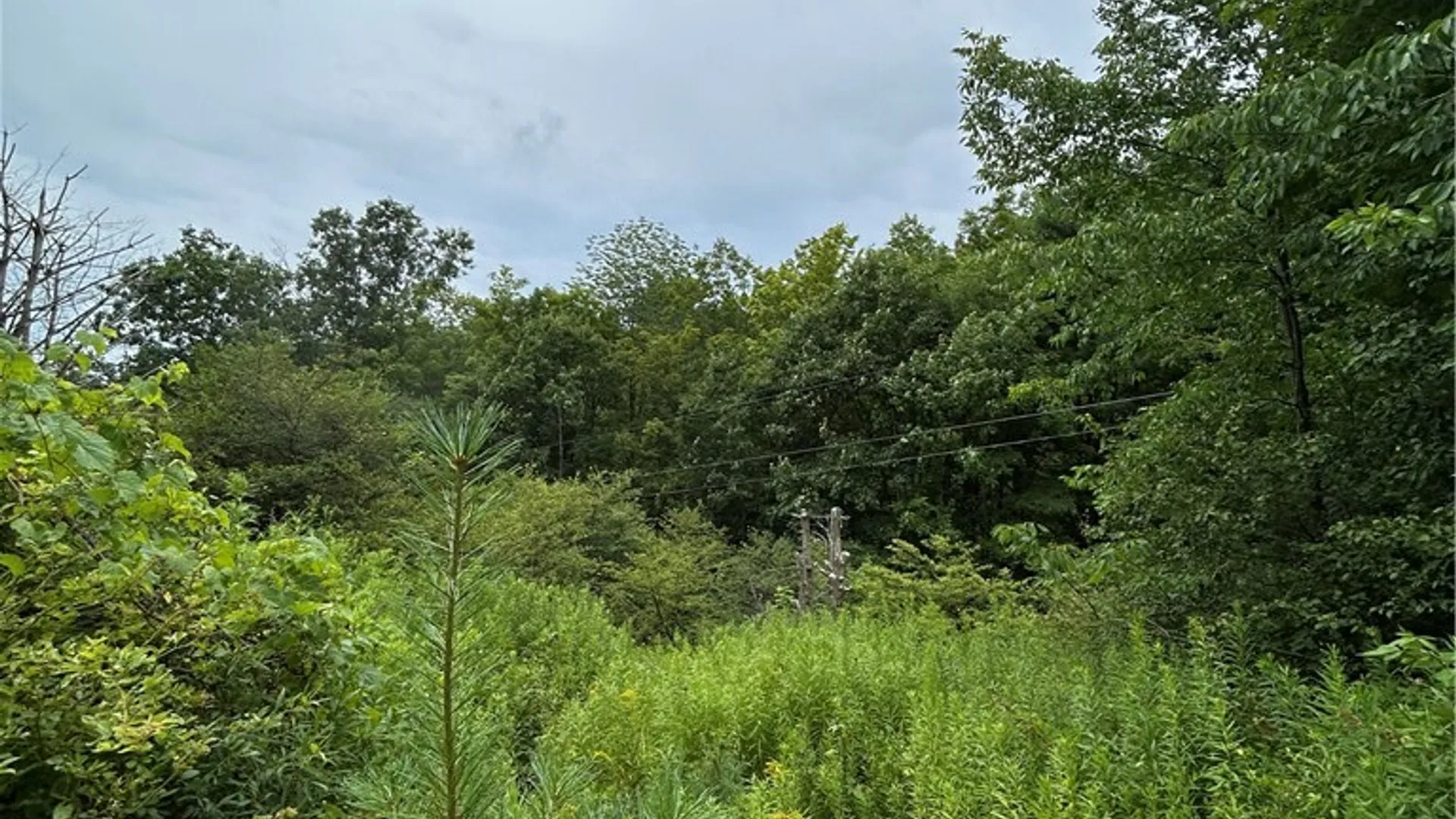 Property at Lot 13 Grange Hall Road, Franklin, NY 13820 9