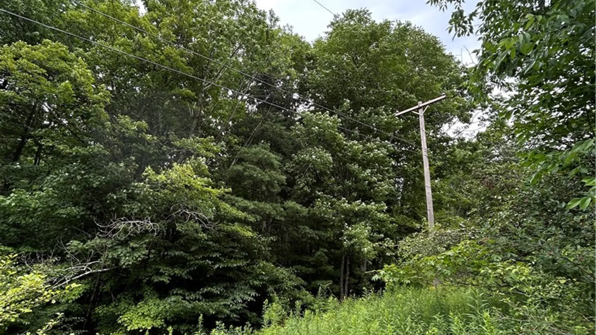 Property at Lot 13 Grange Hall Road, Franklin, NY 13820 10