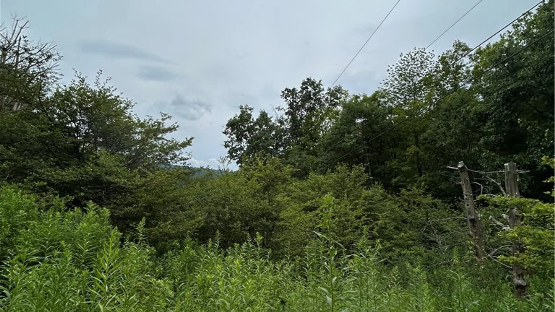 Property at Grange Hall Road, Franklin, NY 13820 11
