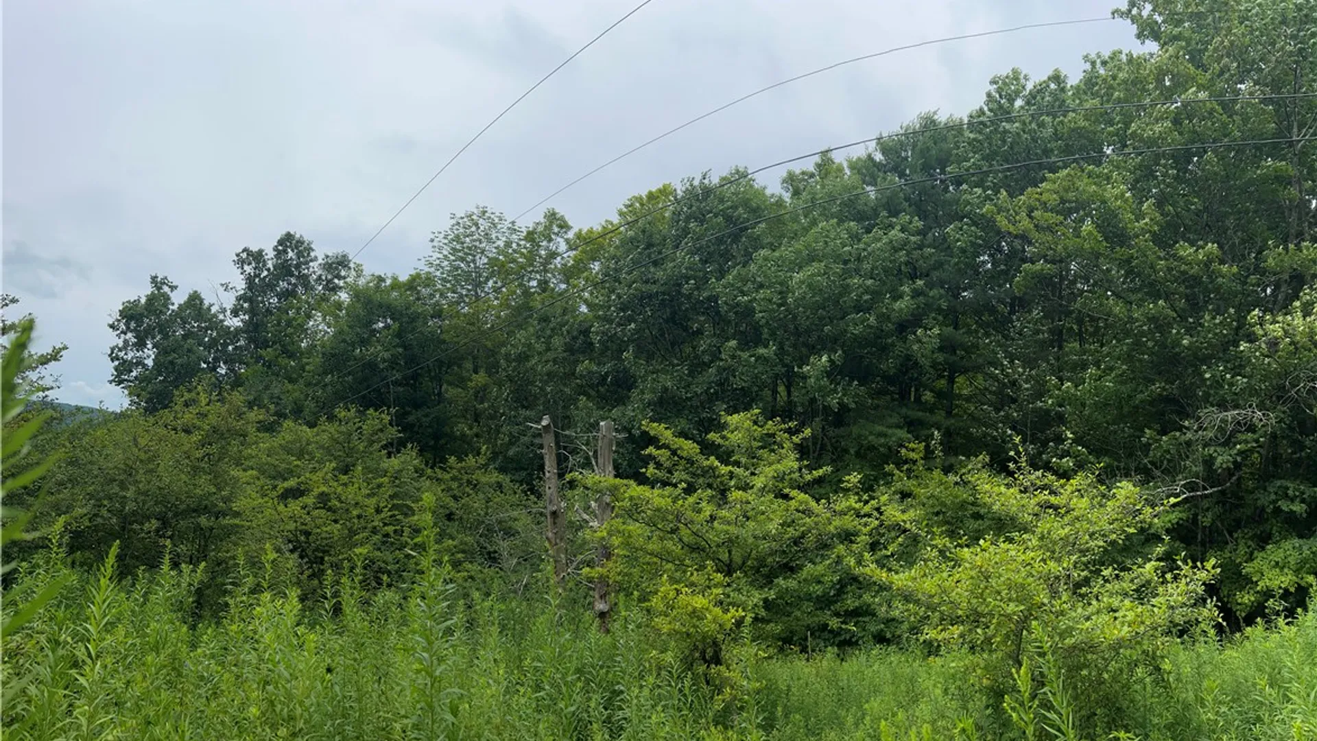 Property at Lot 13 Grange Hall Road, Franklin, NY 13820 12