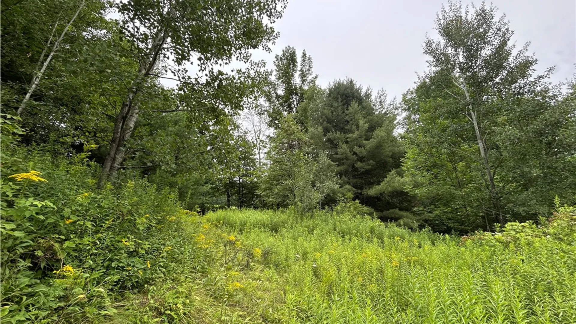 Property at Grange Hall Road, Franklin, NY 13820 13