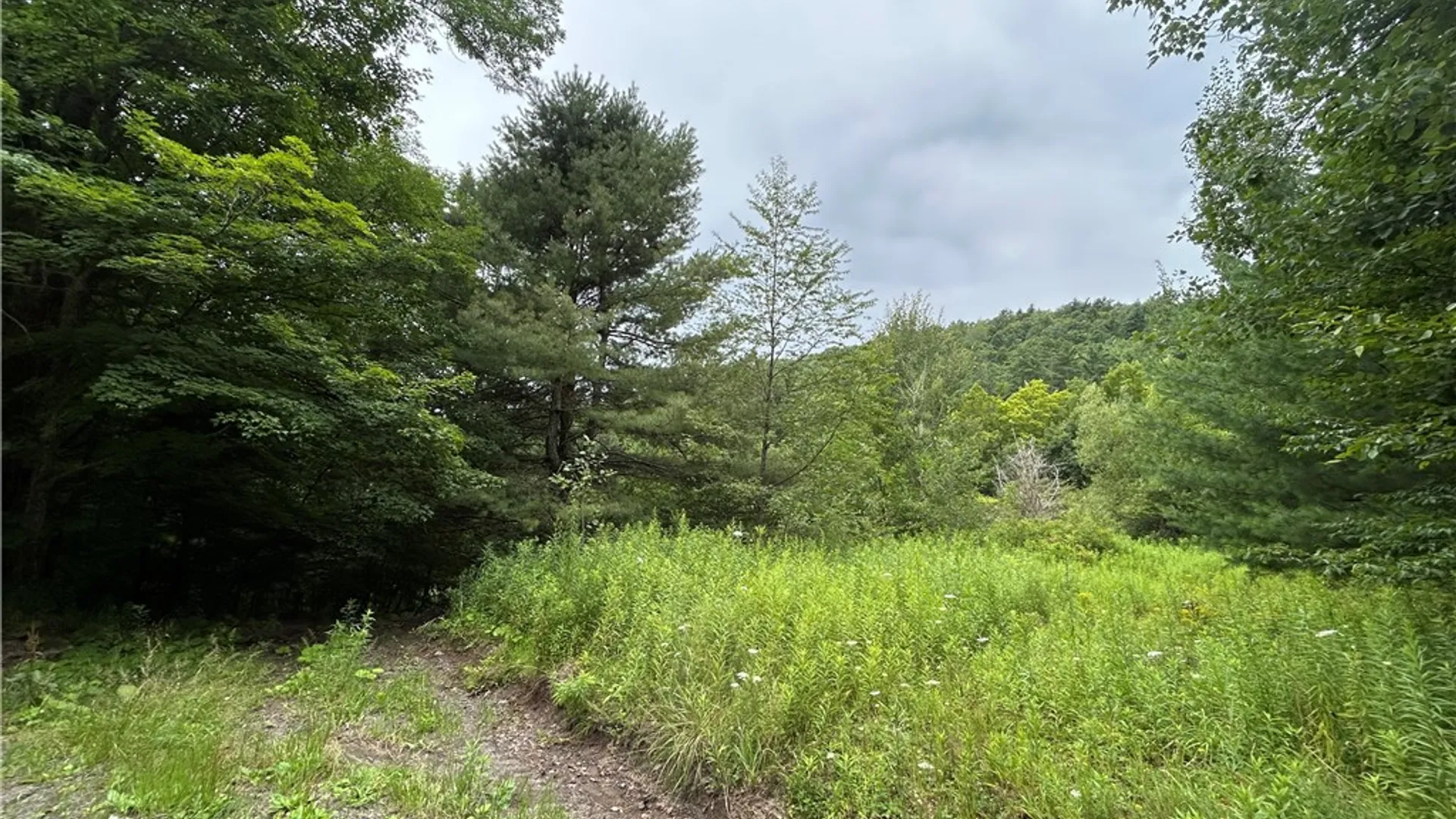 Property at Grange Hall Road, Franklin, NY 13820 14
