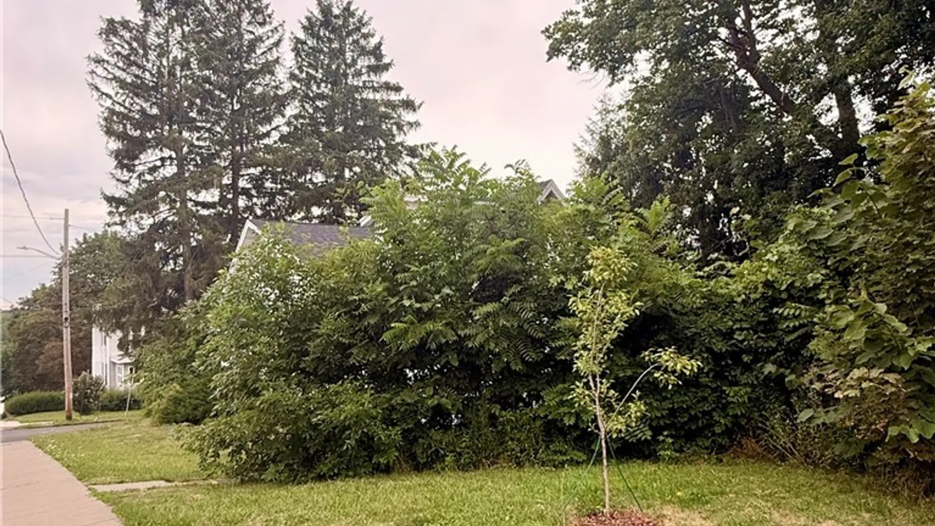 Property at 1120 Stolp Avenue, Syracuse, NY 13207 41