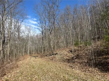 Property at 0 O Brien Road, Bath, NY 14879