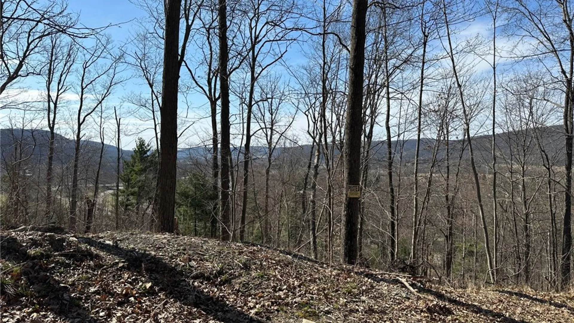 Property at 0 O Brien Road, Bath, NY 14879 3