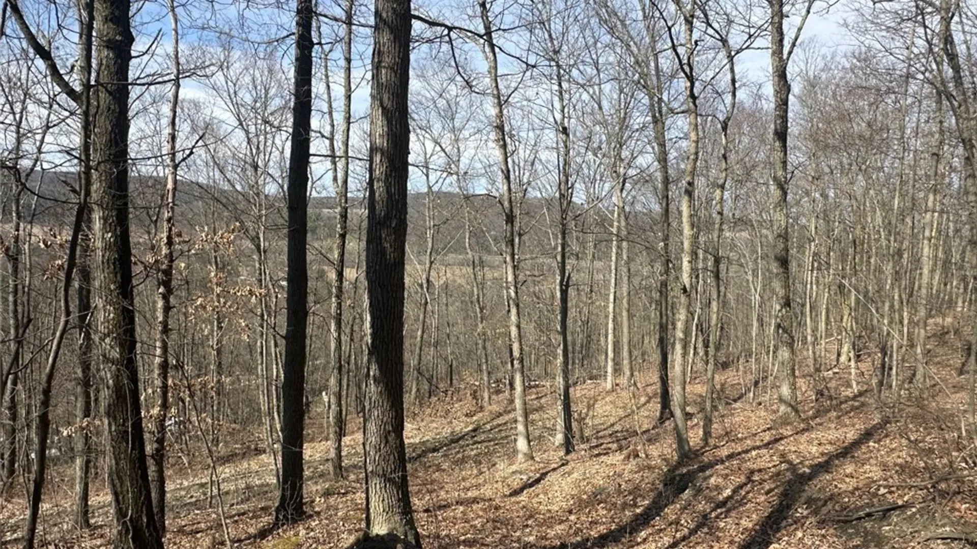 Property at 0 O Brien Road, Bath, NY 14879 4