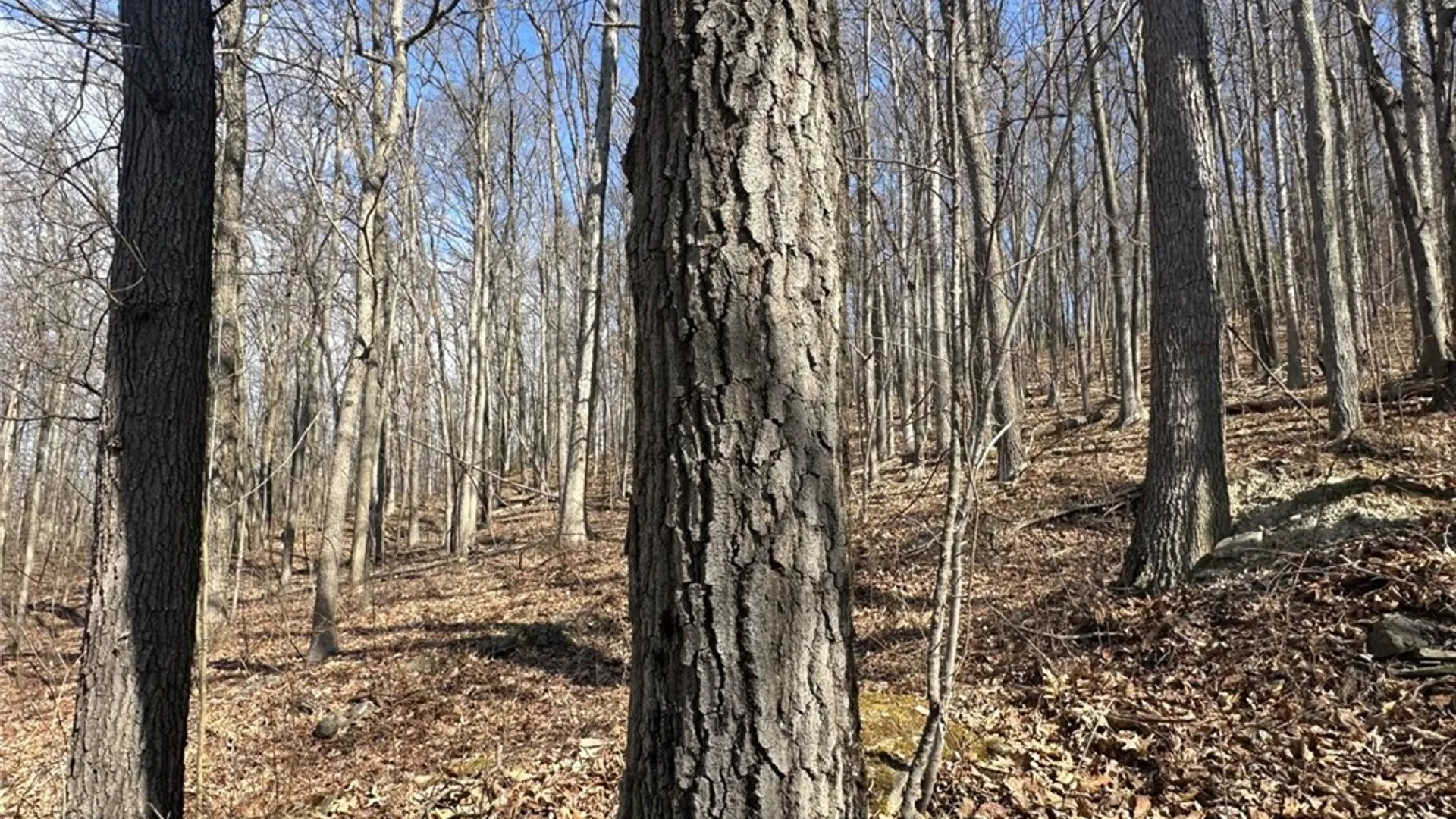 Property at 0 O Brien Road, Bath, NY 14879 9