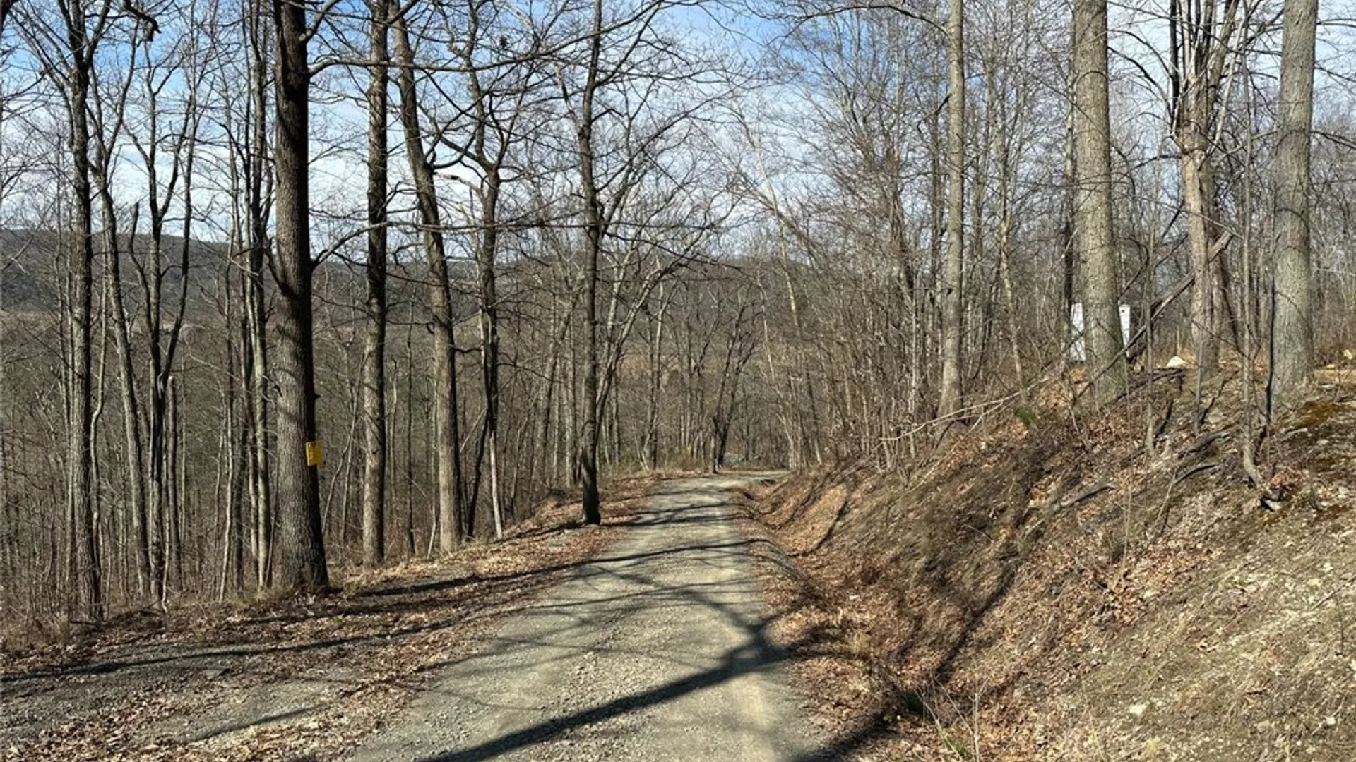 Property at 0 O Brien Road, Bath, NY 14879 11