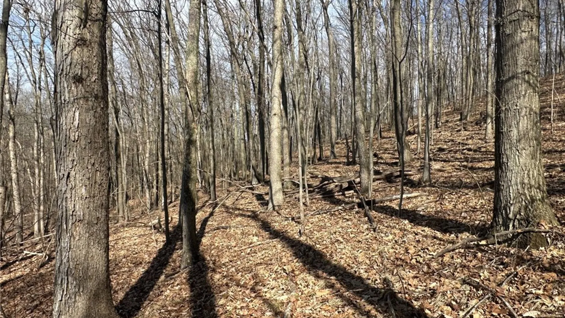 Property at 0 O Brien Road, Bath, NY 14879 12