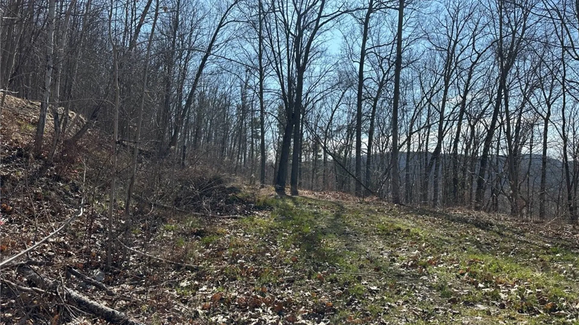 Property at 0 O Brien Road, Bath, NY 14879 13
