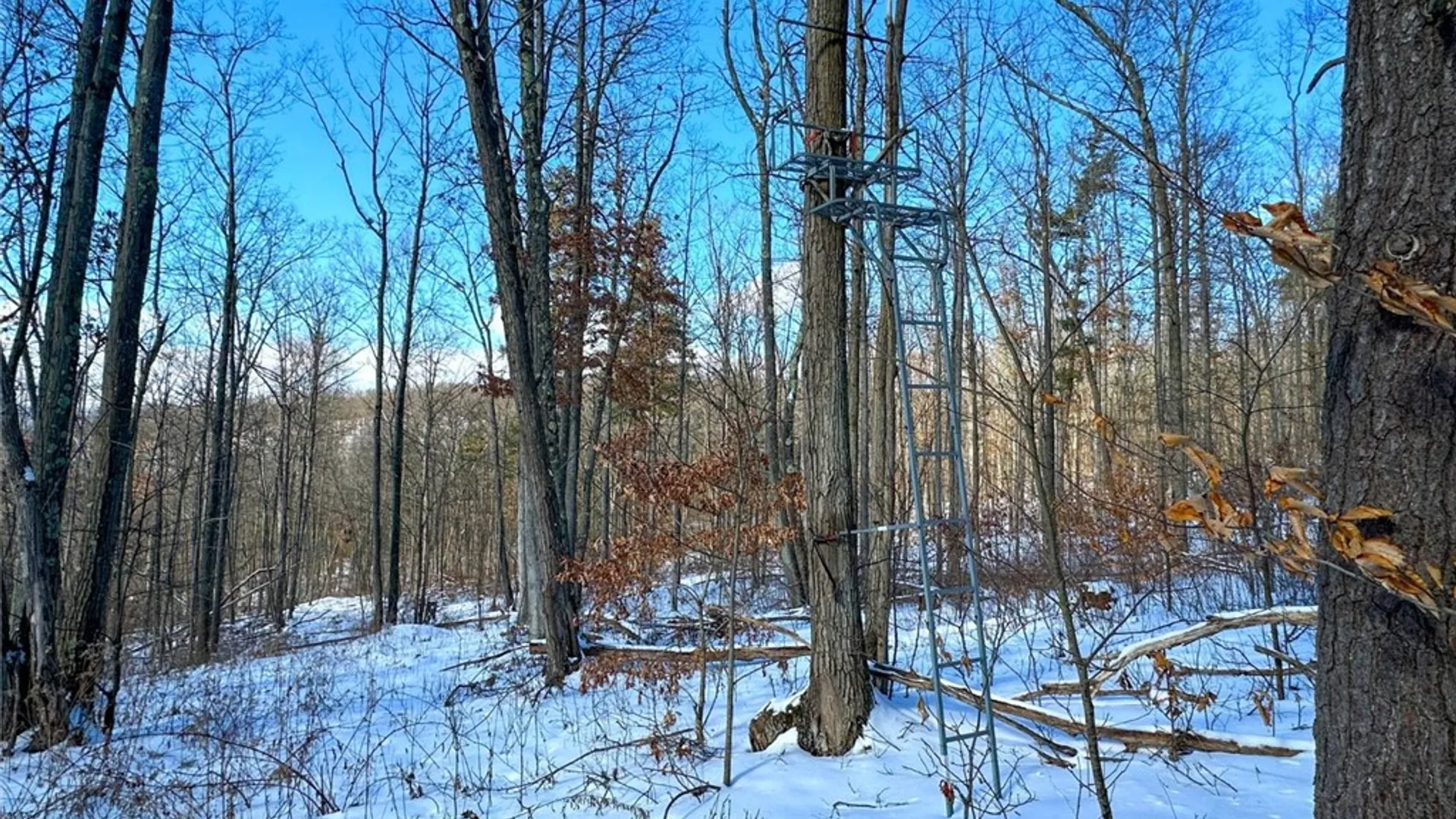 Property at 0 O Brien Road, Bath, NY 14879 15
