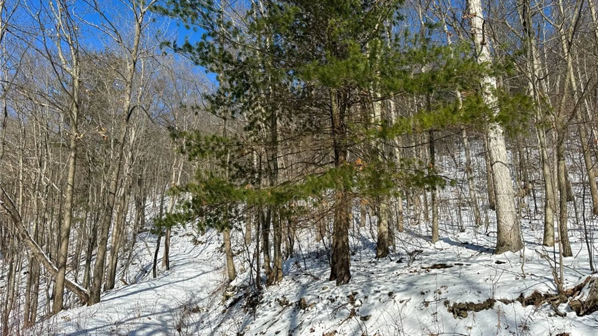 Property at 0 O Brien Road, Bath, NY 14879 24