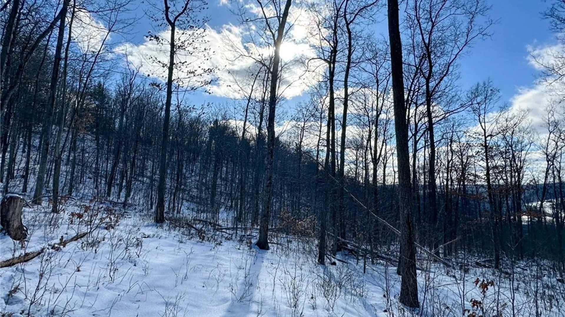 Property at 0 O Brien Road, Bath, NY 14879 25