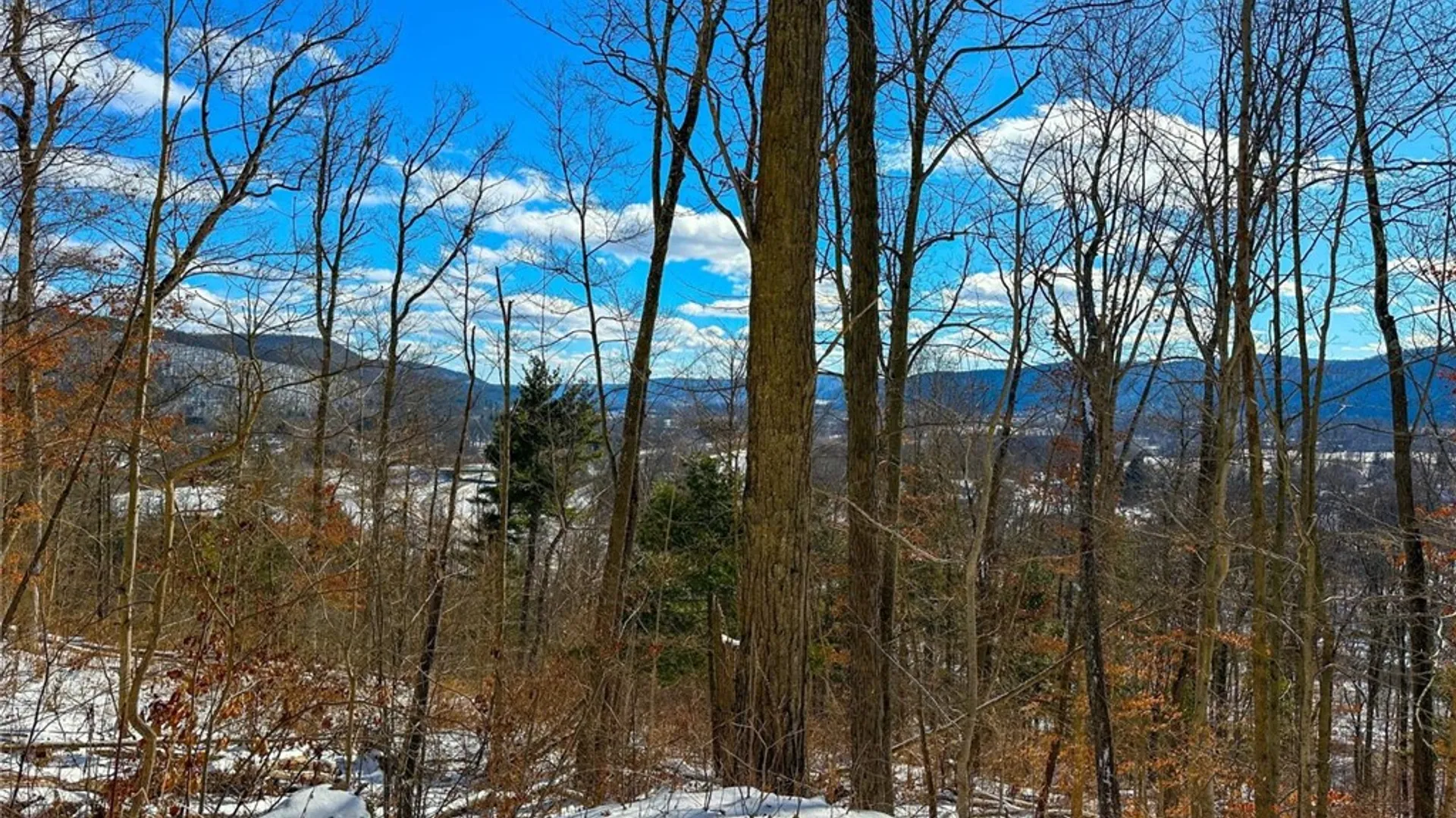 Property at 0 O Brien Road, Bath, NY 14879 26