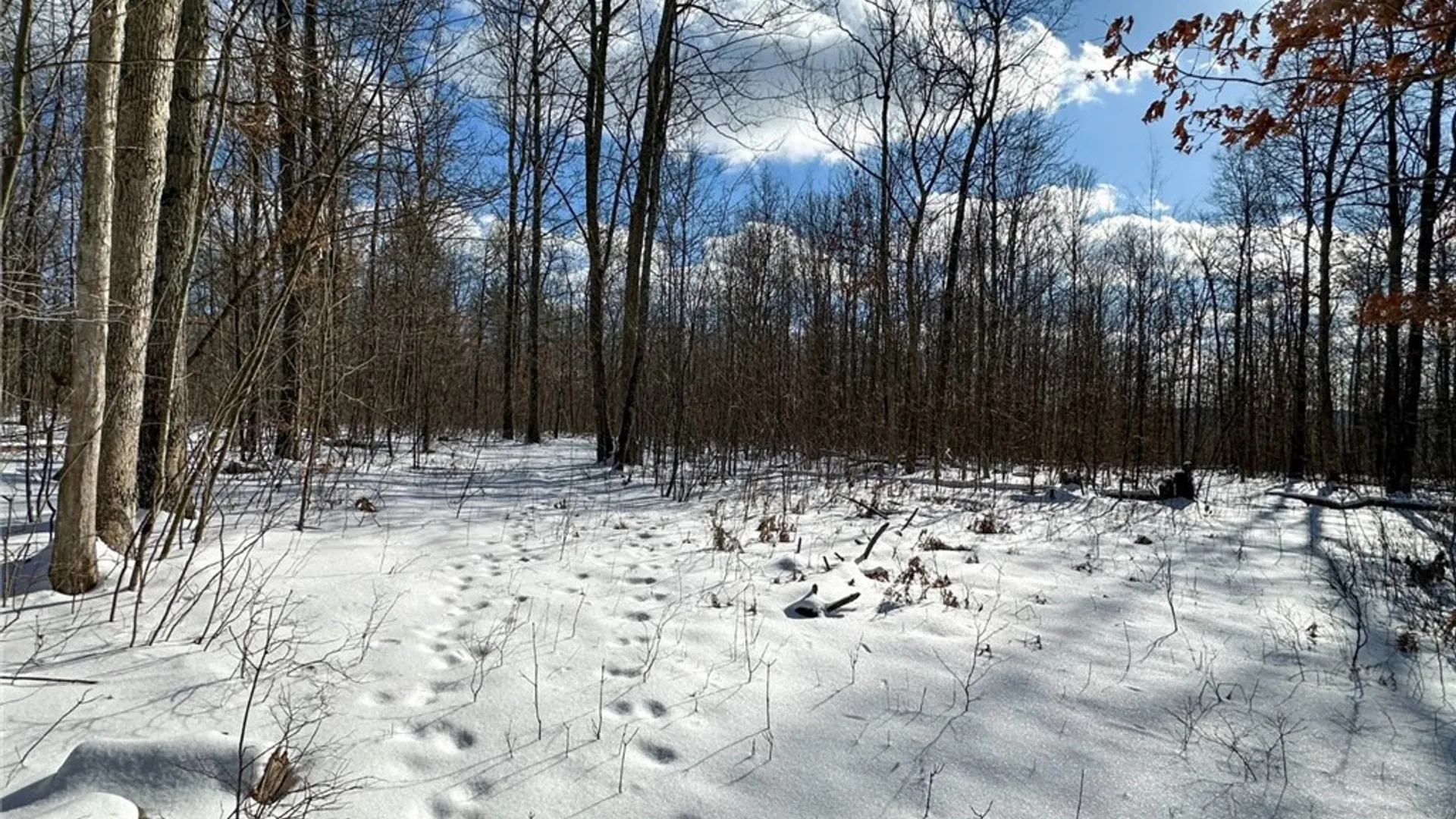 Property at 0 O Brien Road, Bath, NY 14879 30