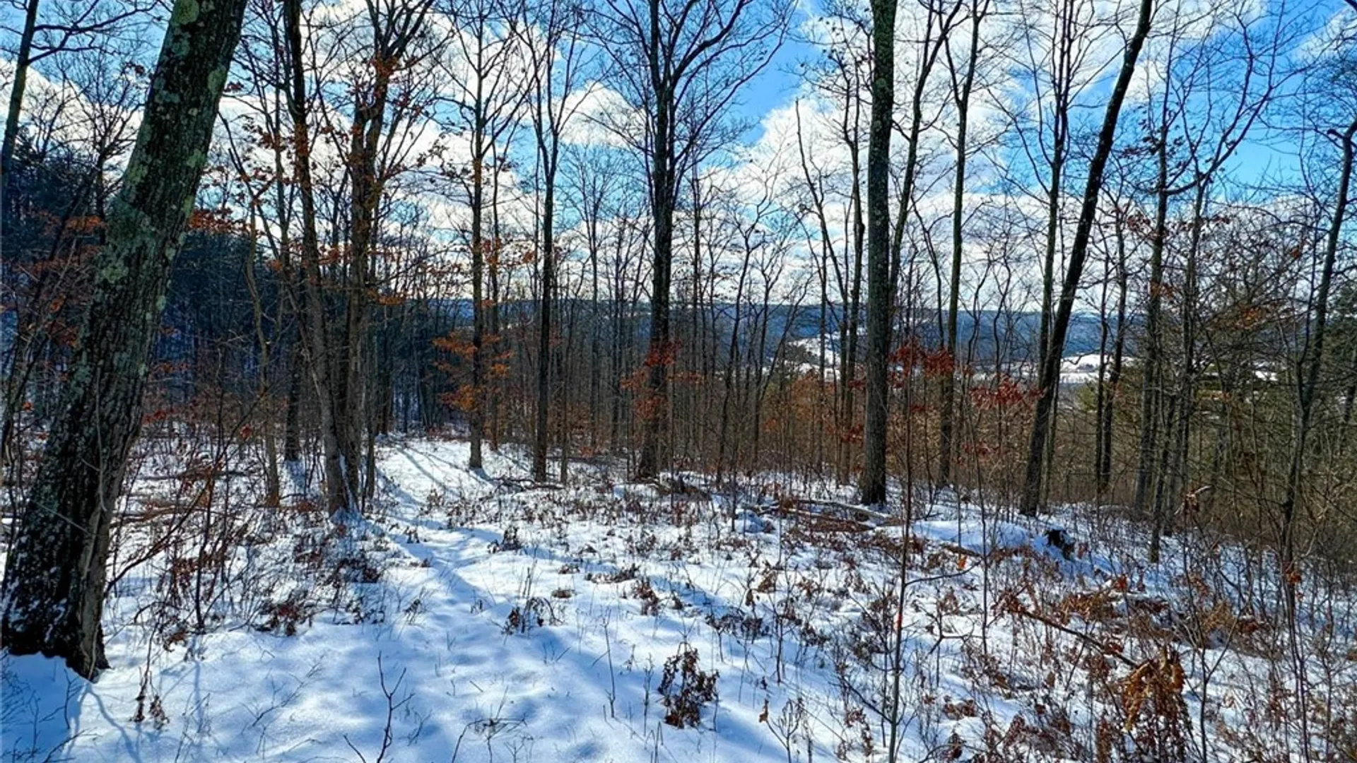 Property at 0 O Brien Road, Bath, NY 14879 32