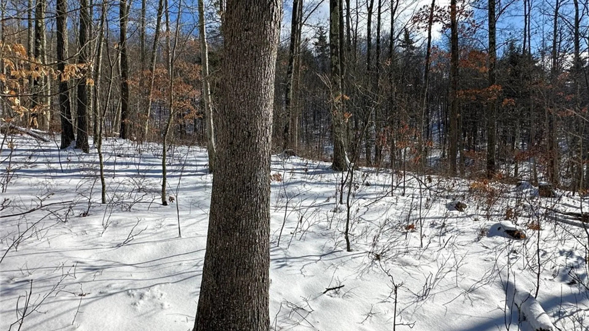 Property at 0 O Brien Road, Bath, NY 14879 34