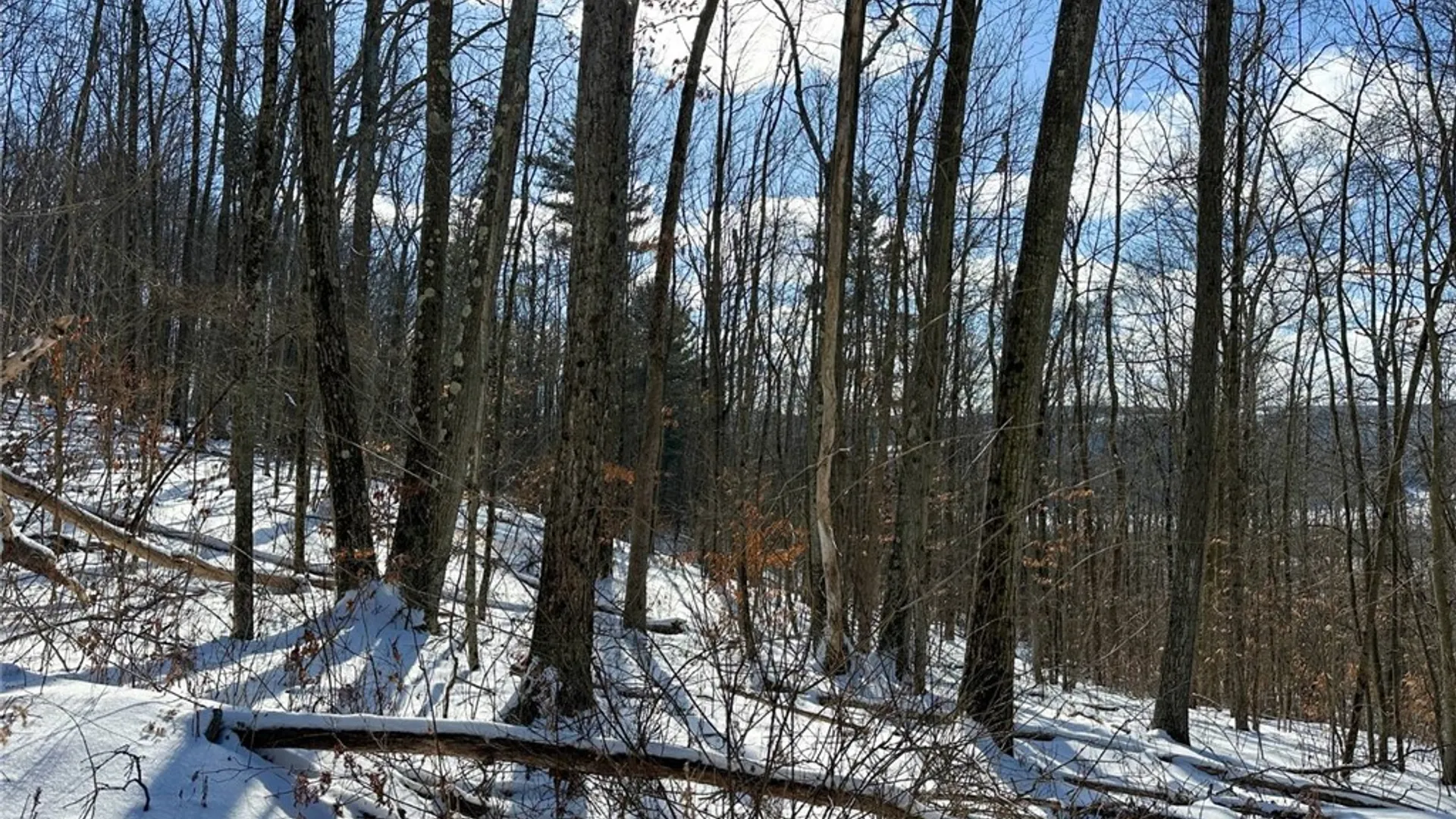 Property at 0 O Brien Road, Bath, NY 14879 43