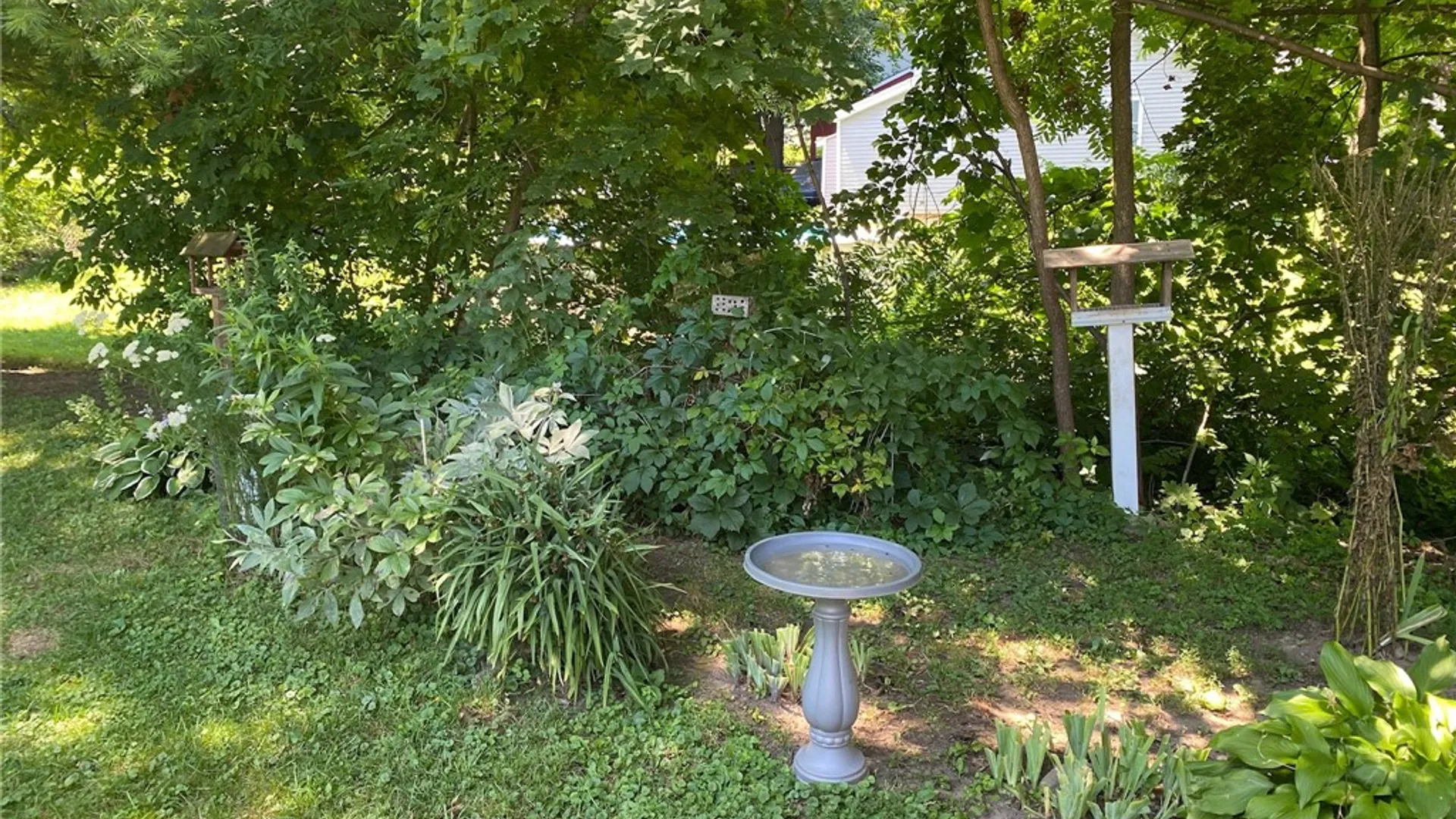Property at 133 Mcdermott Street, Arcadia, NY 14513 5