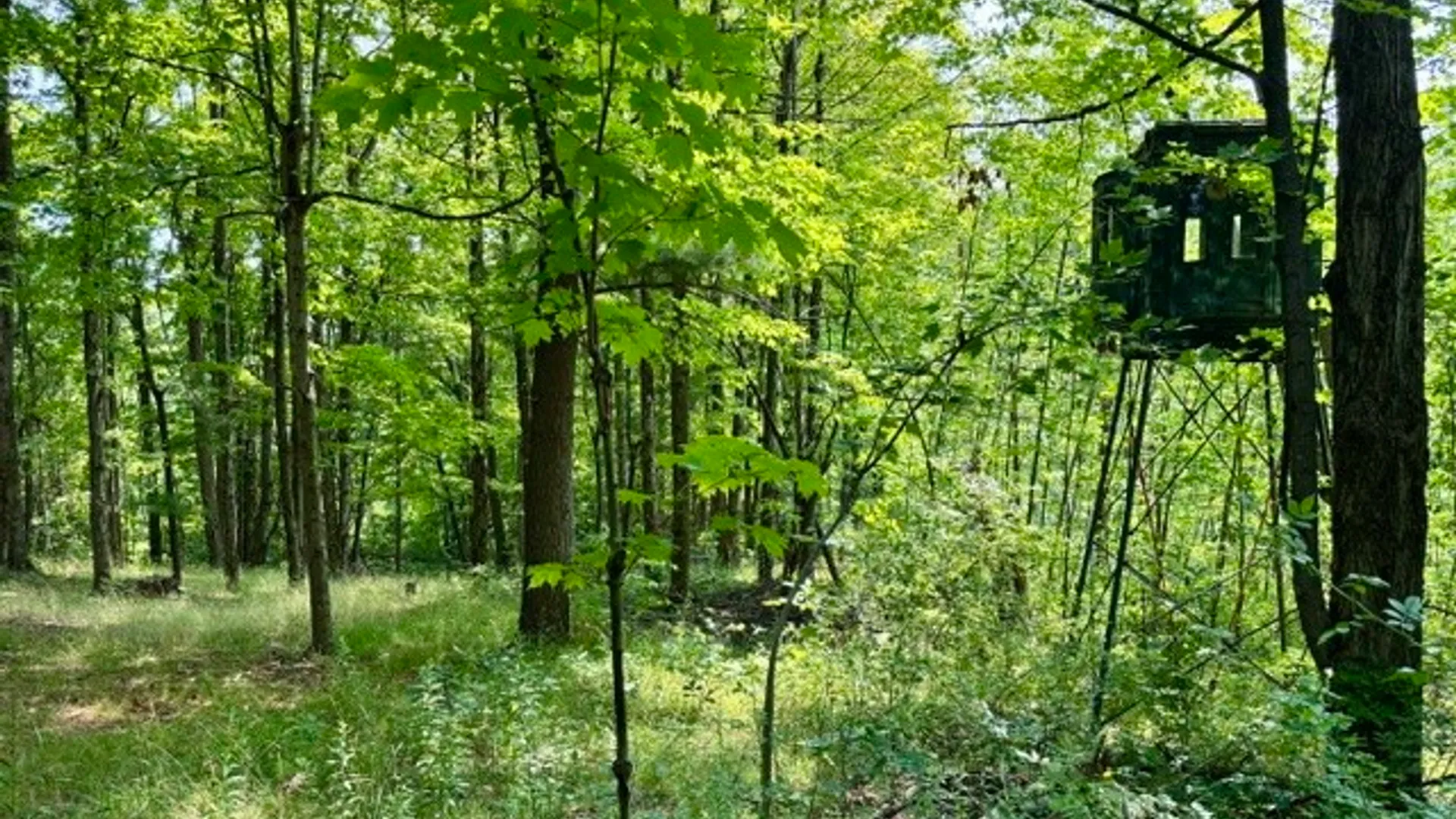 Property at 7836 Mosher Road, South Bristol, NY 14471 40