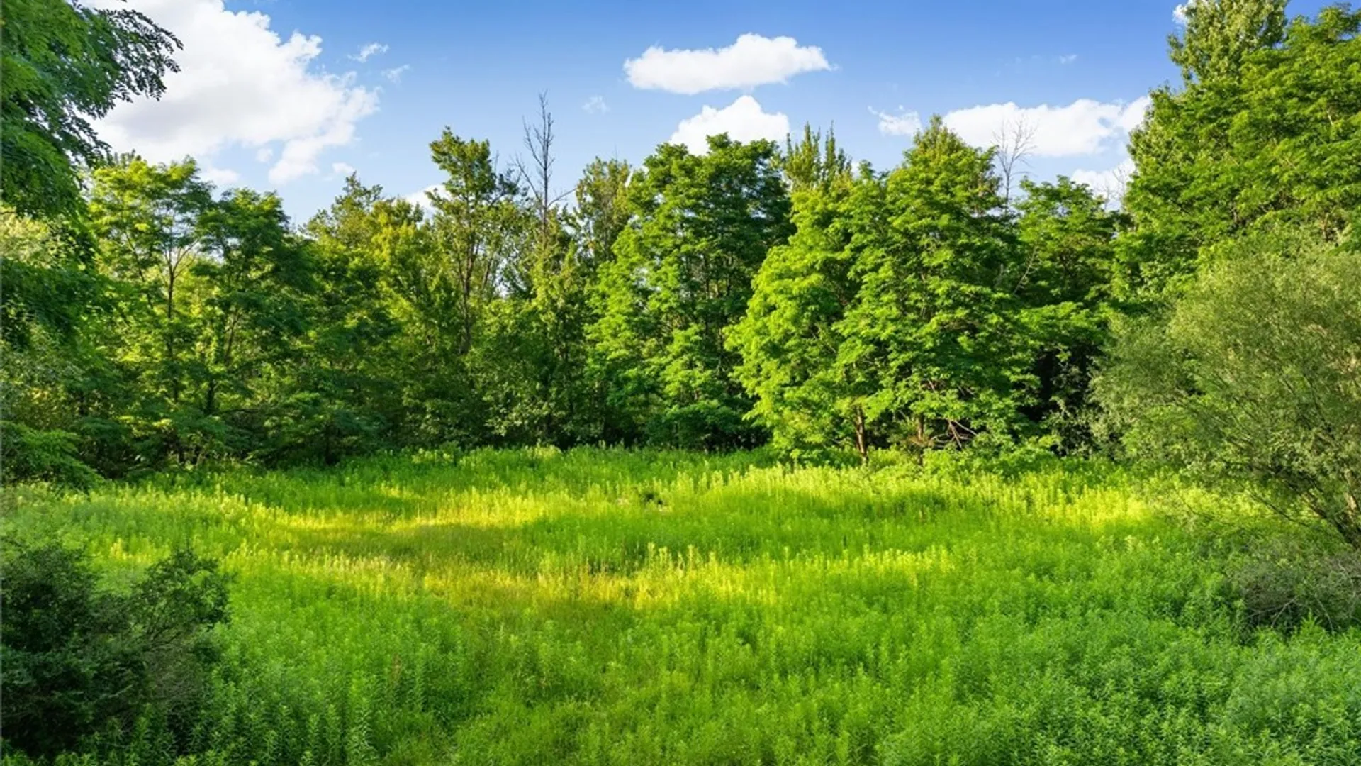 Property at Apple Tree Lane, Whitestown, NY 13492 3