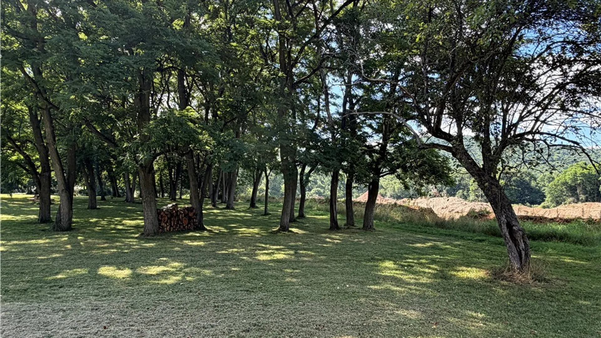 Property at 425 Portville Eldred Road, Portville, NY 14770 39