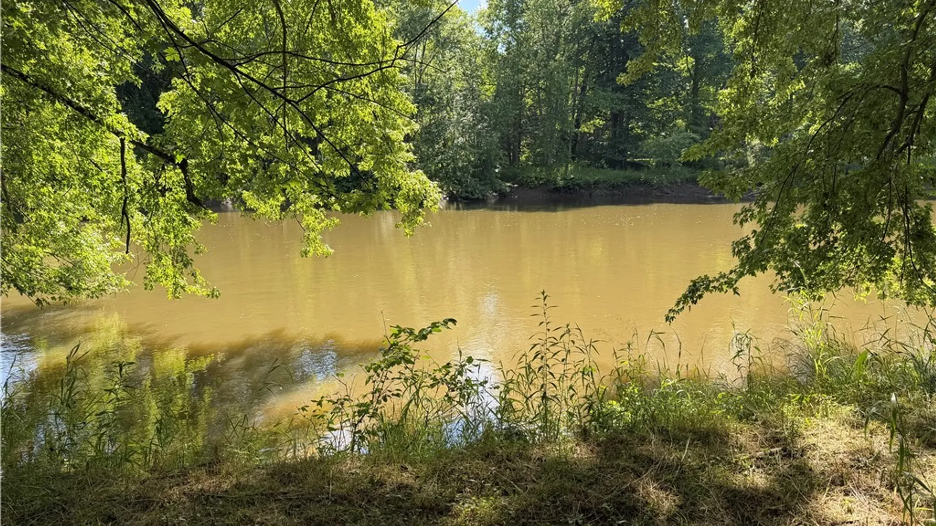 Property at 425 Portville Eldred Road, Portville, NY 14770 36