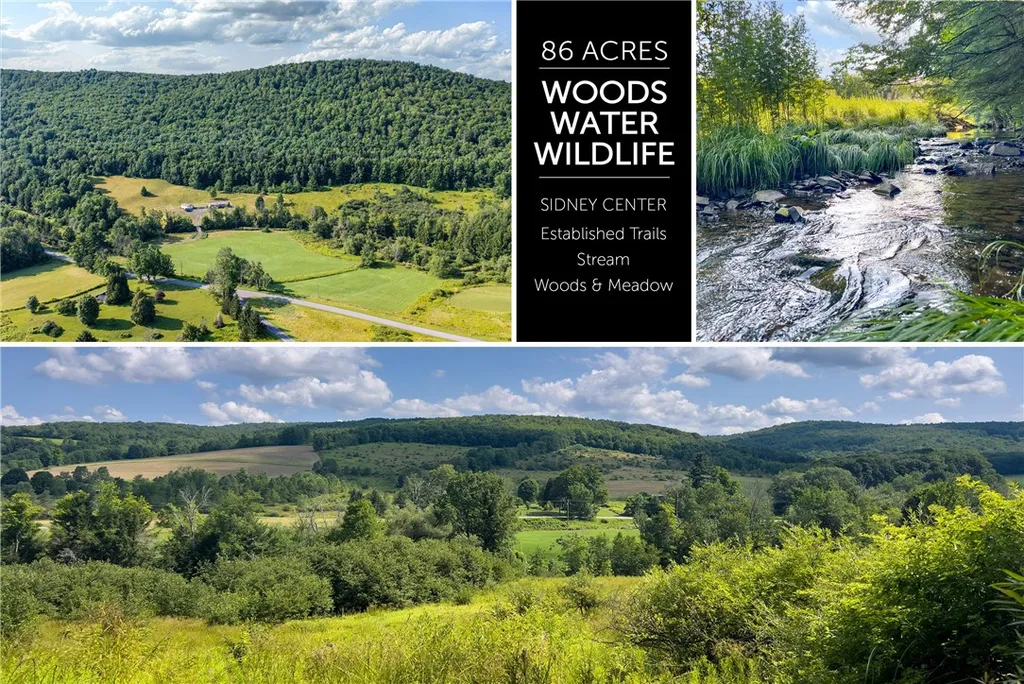 Property at Lot #11 Franklin Depot Road, Sidney, NY 13838