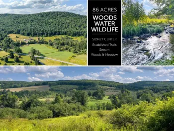 Property at Lot #11 Franklin Depot Road, Sidney, NY 13838