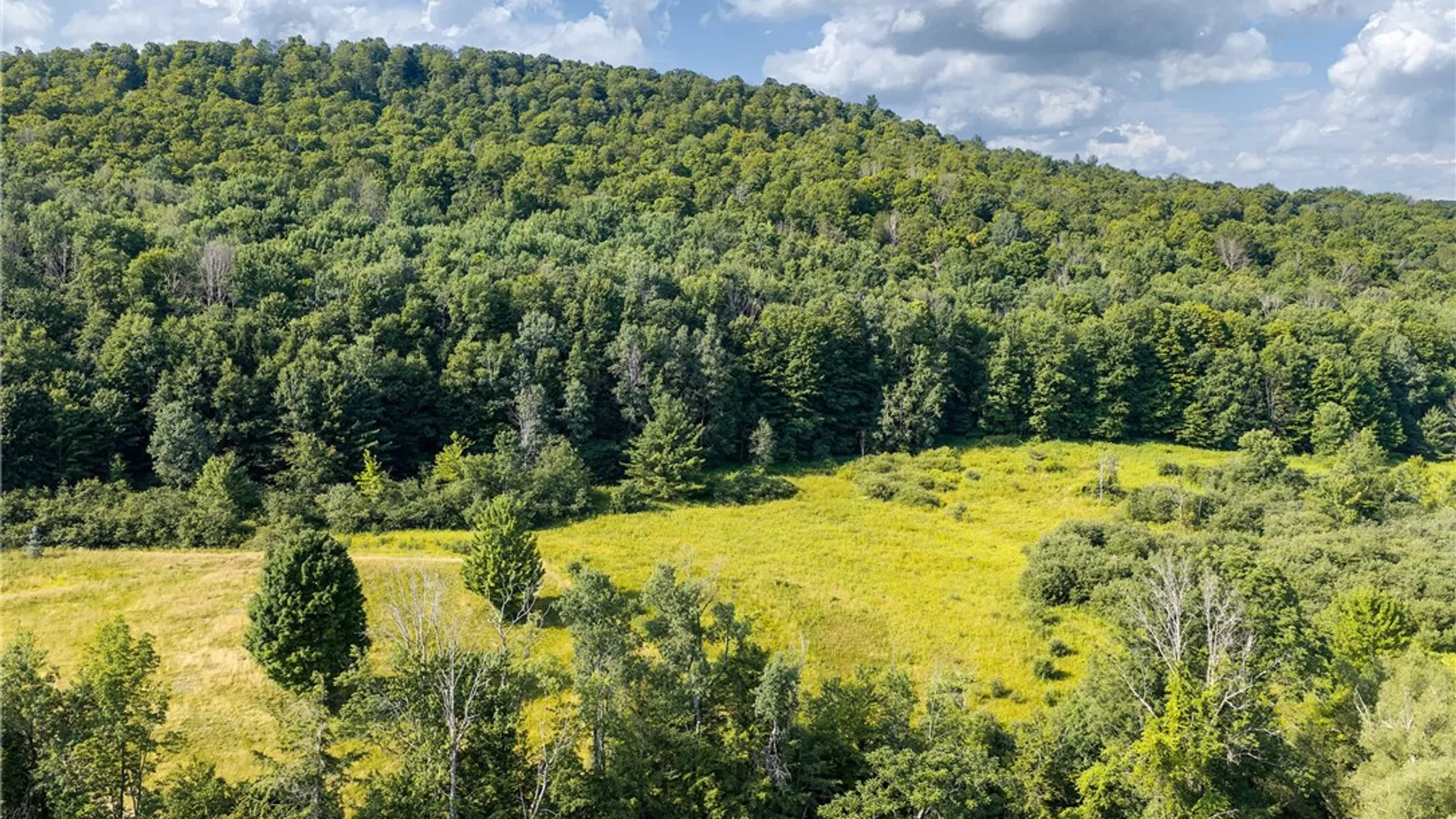 Property at Lot #11 Franklin Depot Road, Sidney, NY 13838 4