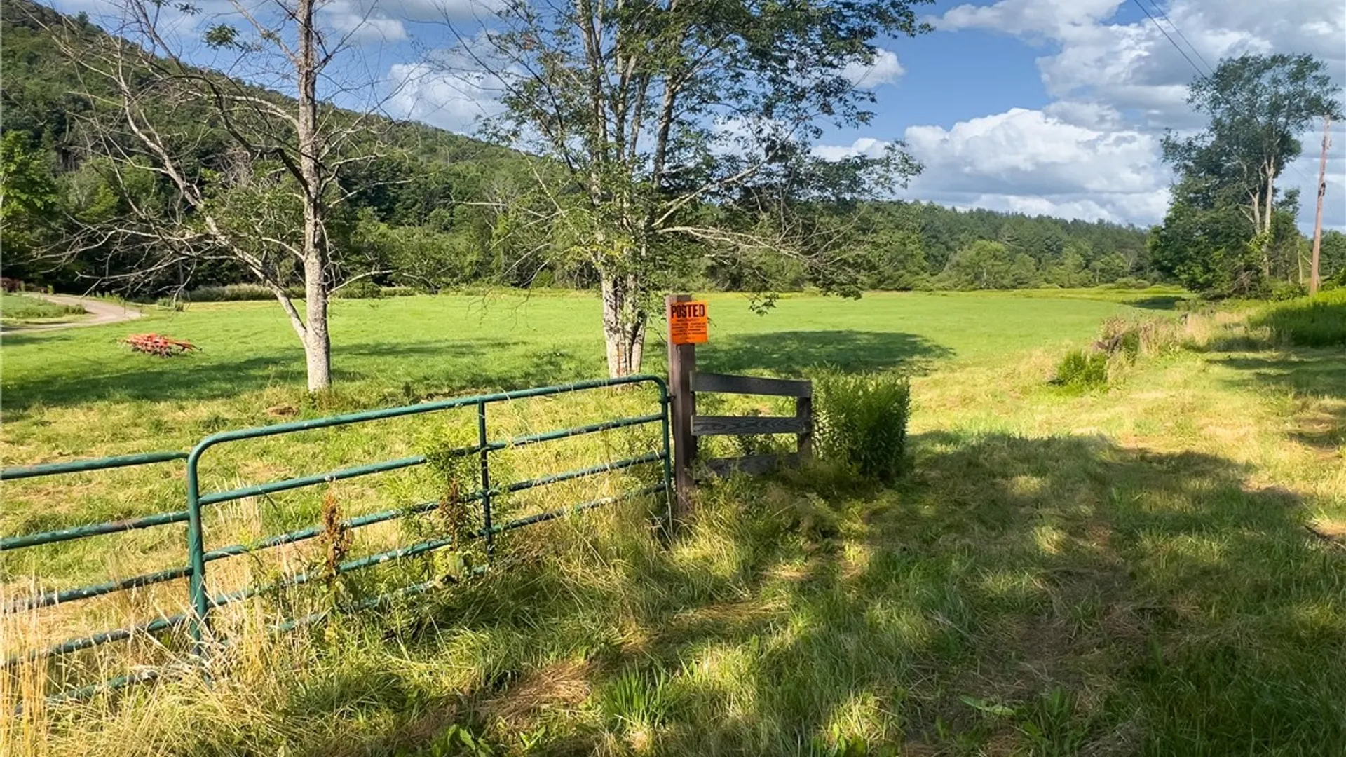 Property at Lot #11 Franklin Depot Road, Sidney, NY 13838 6